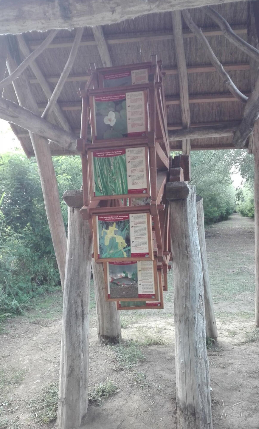 Tisza-tavi Kerékpárkölcsönzés Abádszalók