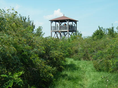 Tisza-tavi Kerékpárkölcsönzés Abádszalók