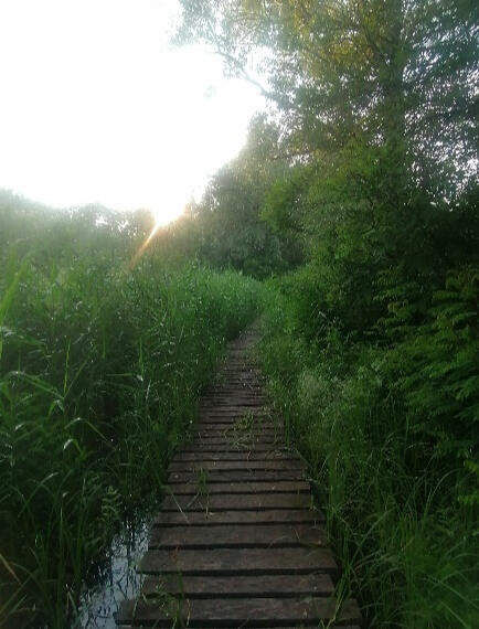 Tisza-tavi Kerékpárkölcsönzés Abádszalók