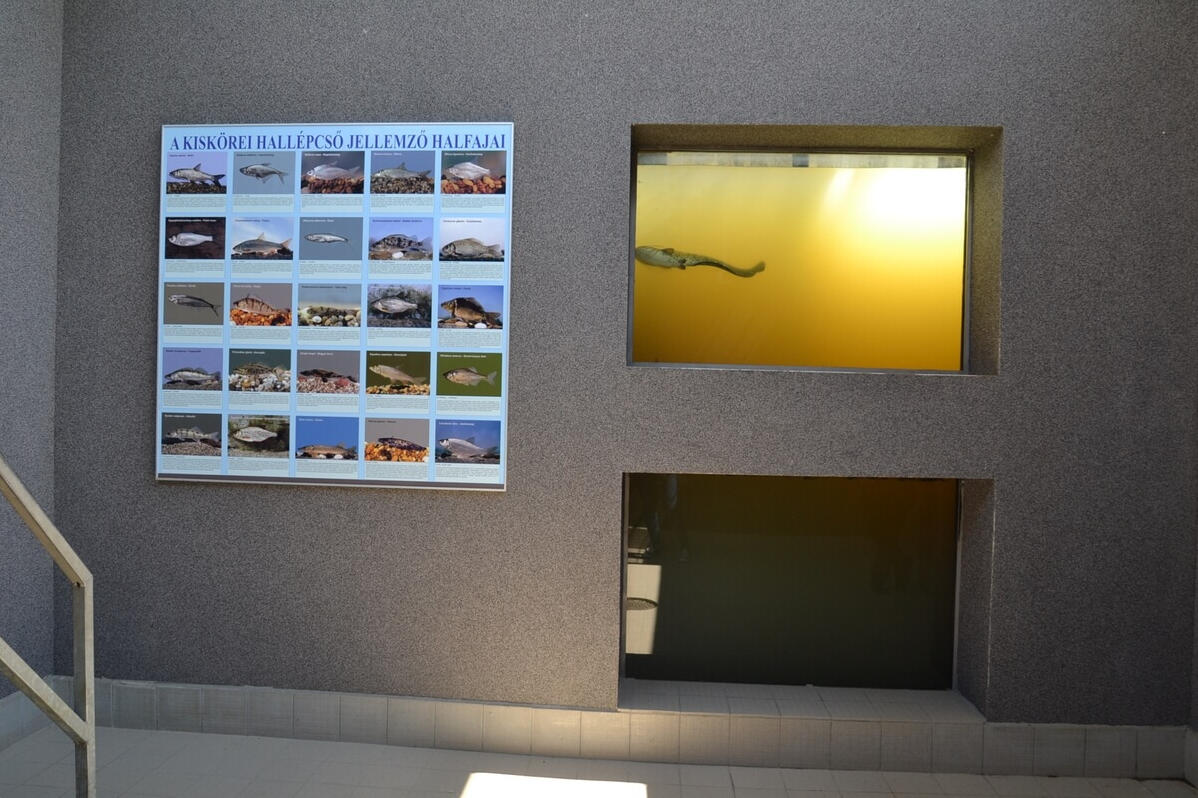 Tisza-tavi Kerékpárkölcsönzés Abádszalók