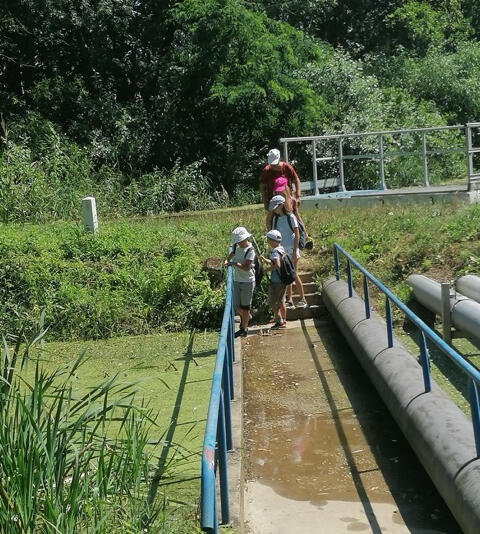Tisza-tavi Kerékpárkölcsönzés Abádszalók