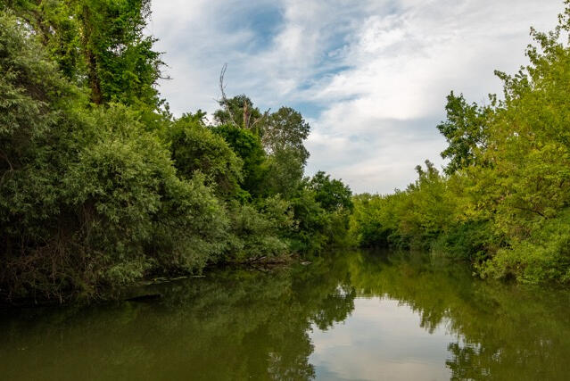Tisza-tavi Kerékpárkölcsönzés Abádszalók