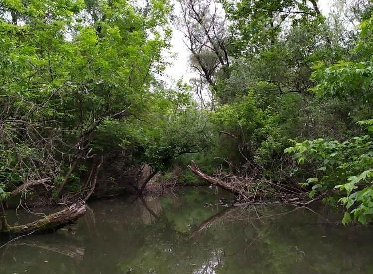 Tisza-tavi Kerékpárkölcsönzés Abádszalók