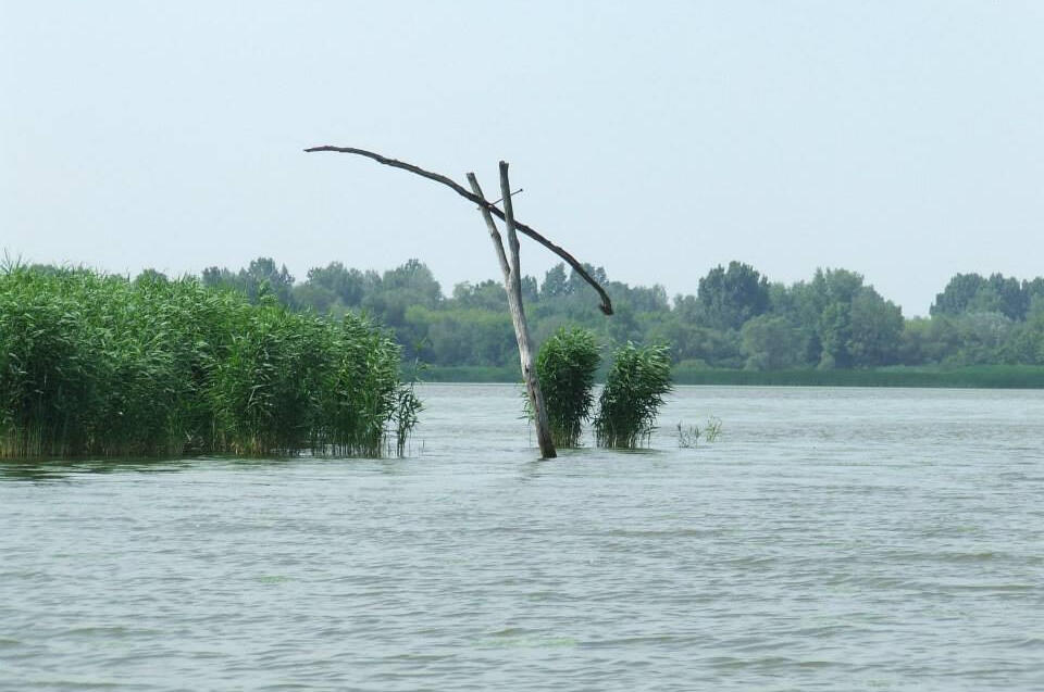 Tisza-tavi Kerékpárkölcsönzés Abádszalók