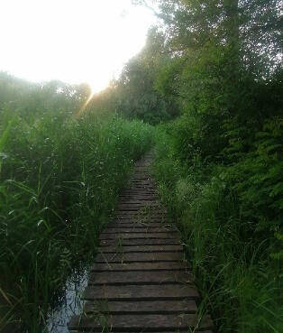 Tisza-tavi Kerékpárkölcsönzés Abádszalók