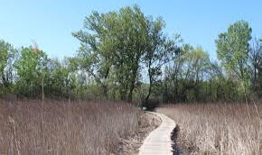 Tisza-tavi Kerékpárkölcsönzés Abádszalók
